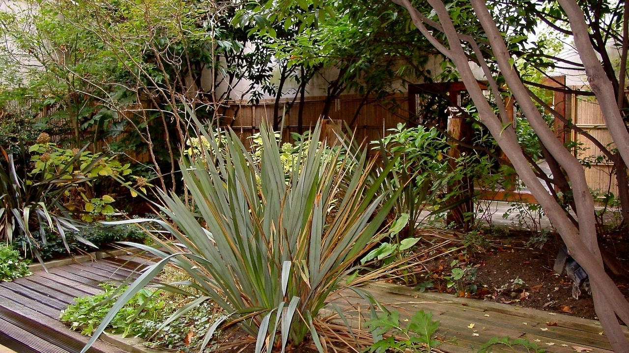 Photo of Outdoor in Les Iles