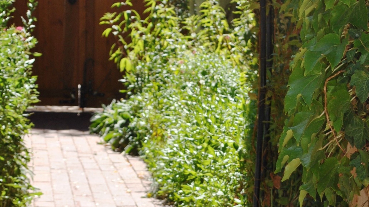 Photo of Outdoor in Downtown Santa Fe