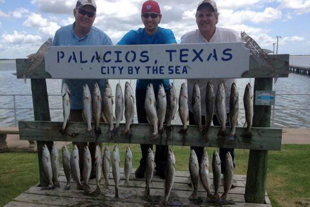 Photo of Others in Palacios