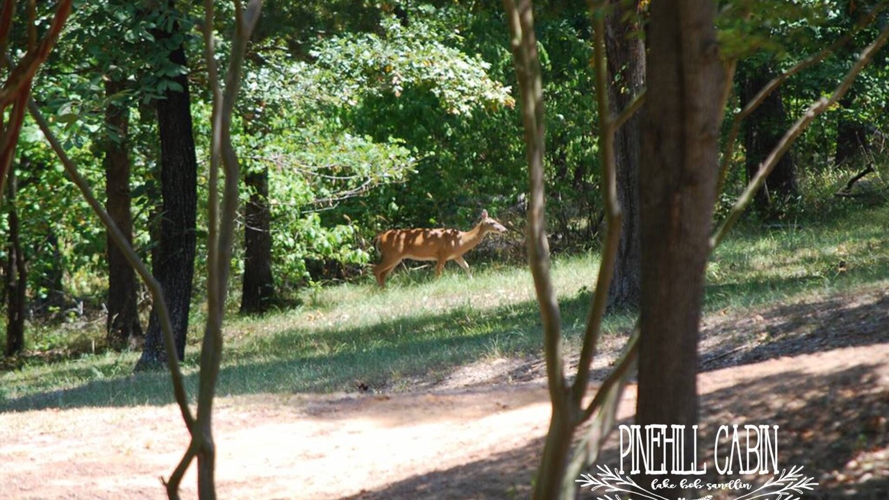 Photo of Outdoor in Whispering Hills