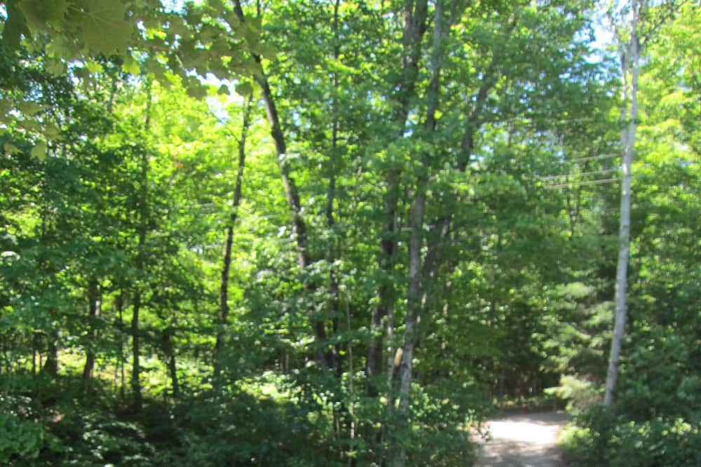 Photo of Others in Minden Hills