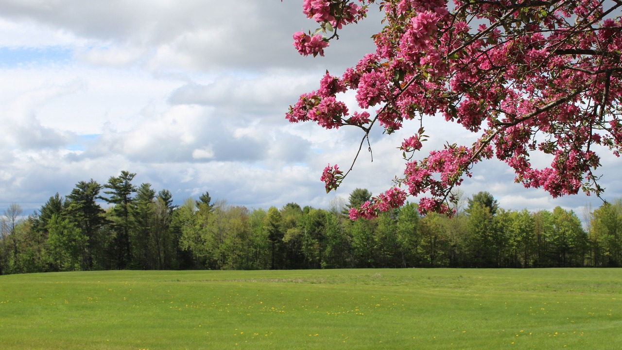 Photo of Others in Oxford
