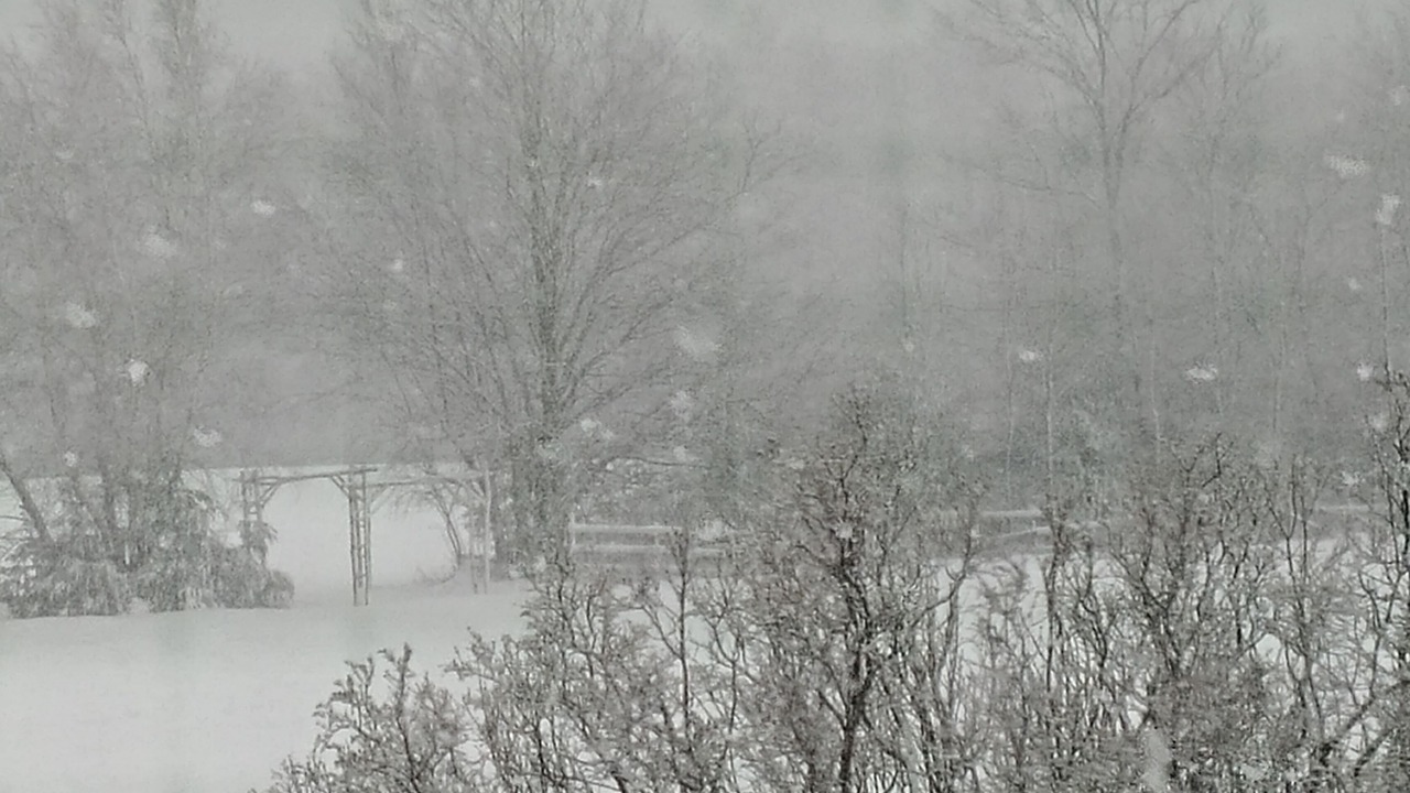 Photo of Outdoor in Oxford