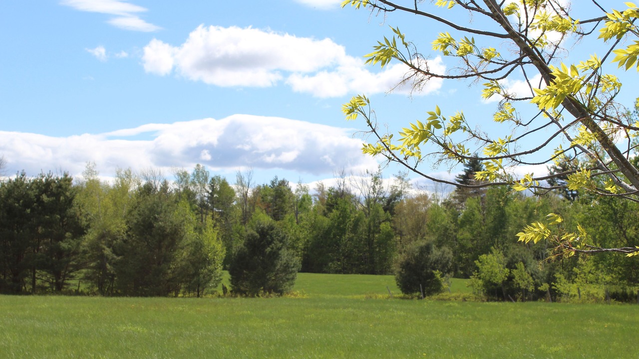 Photo of Others in Oxford