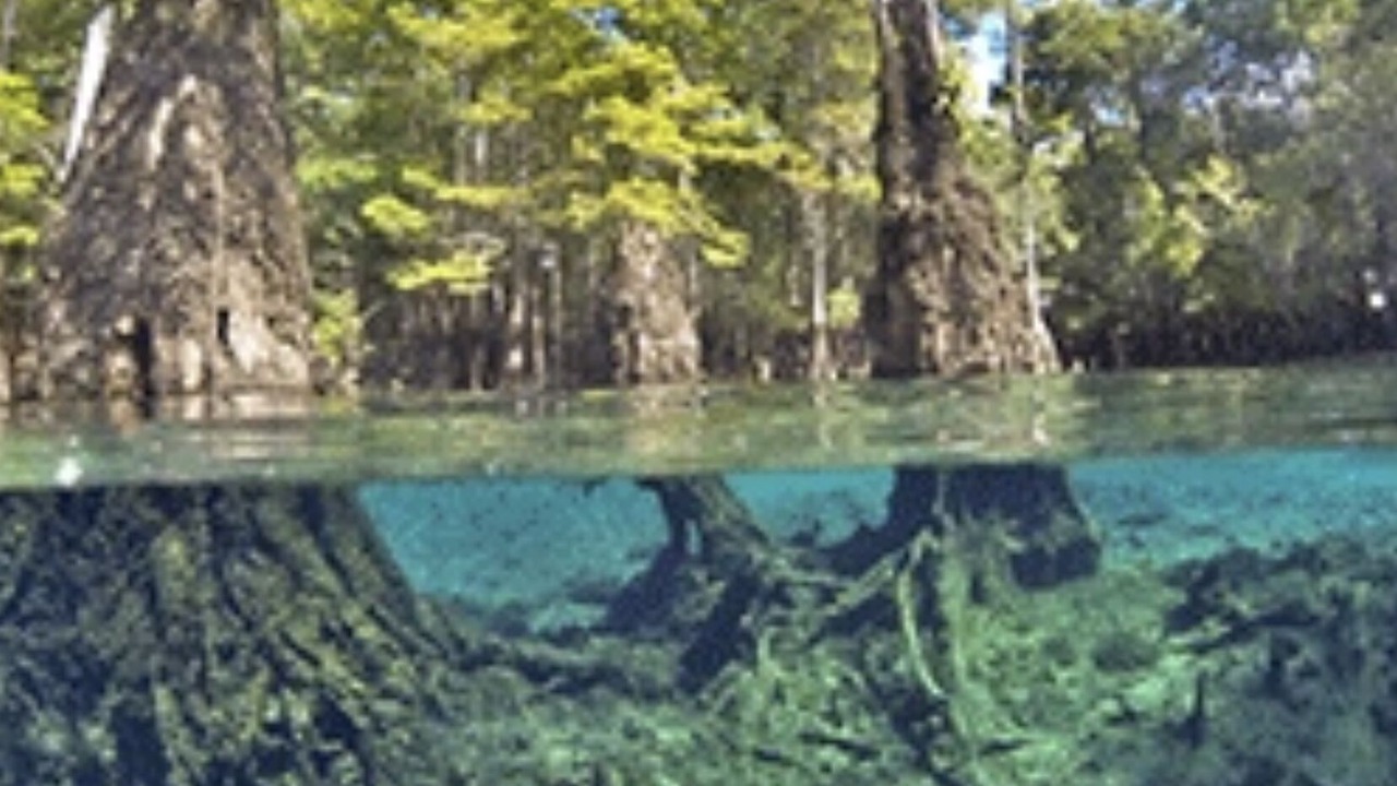 Photo of Outdoor in Branford