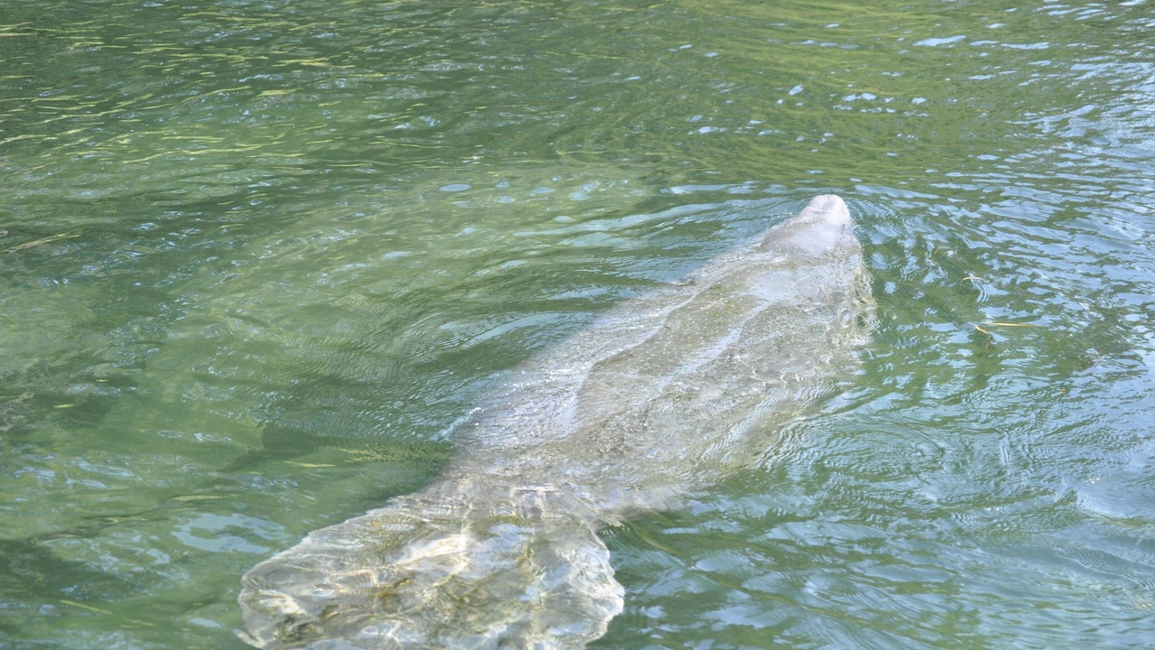 Photo of Outdoor in Branford