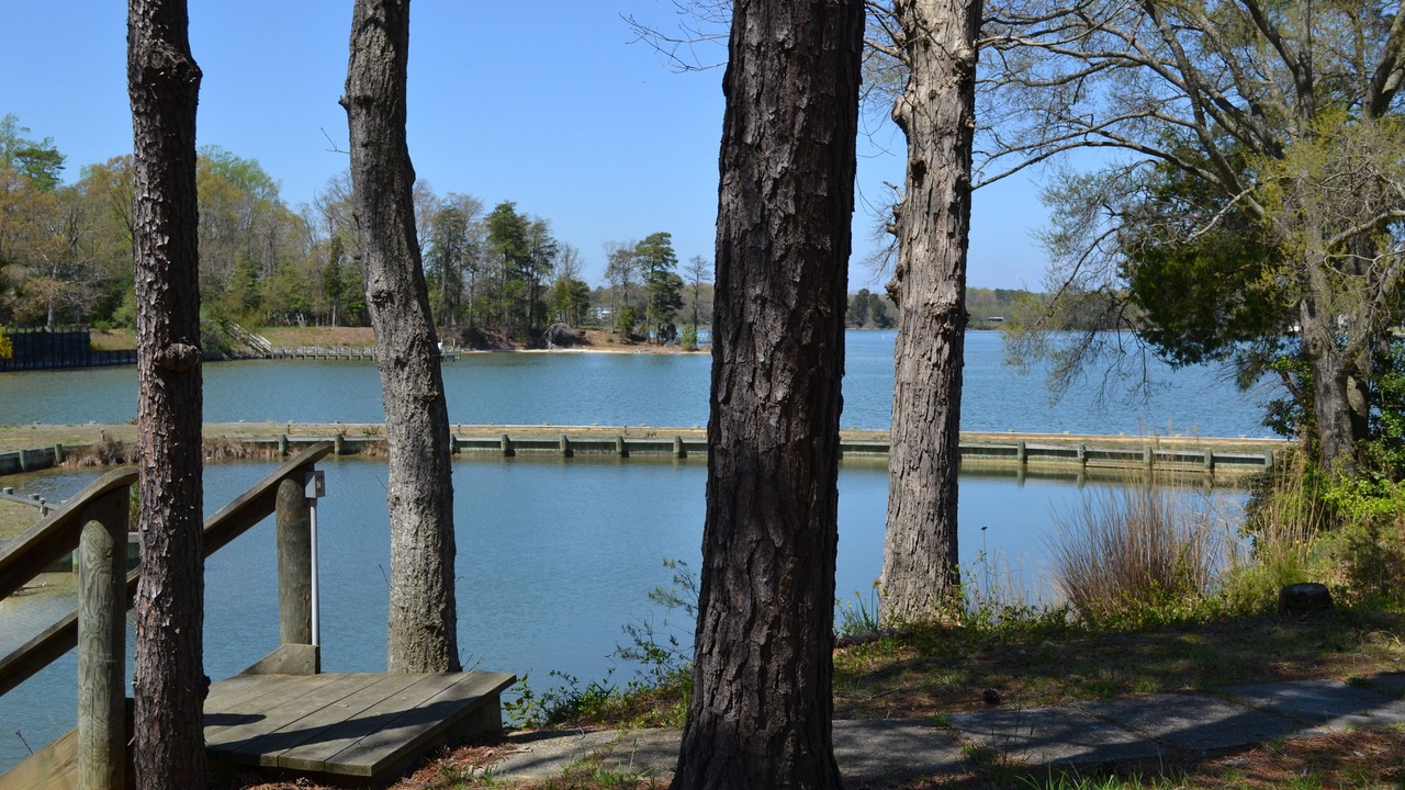 Photo of Outdoor in Reedville