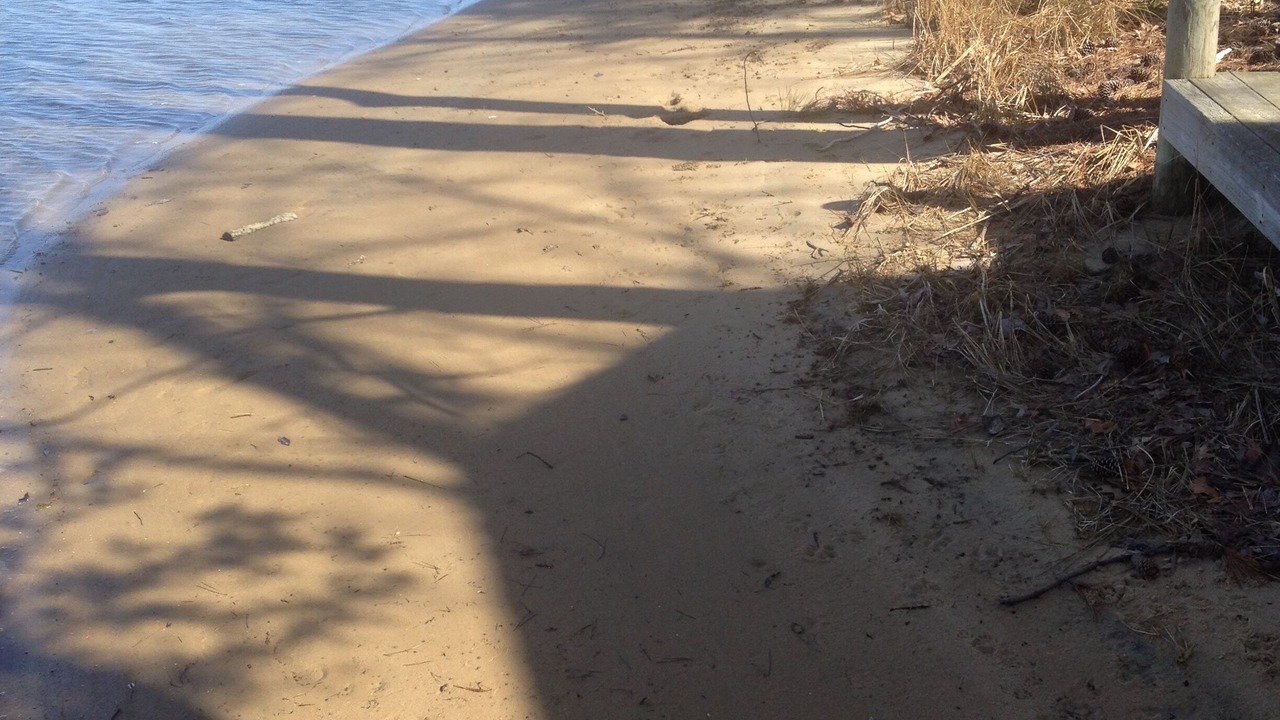 Photo of Others in Reedville