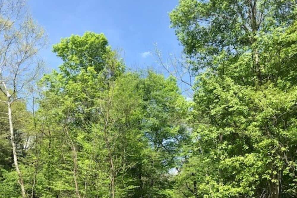 Photo of Others in New Castle