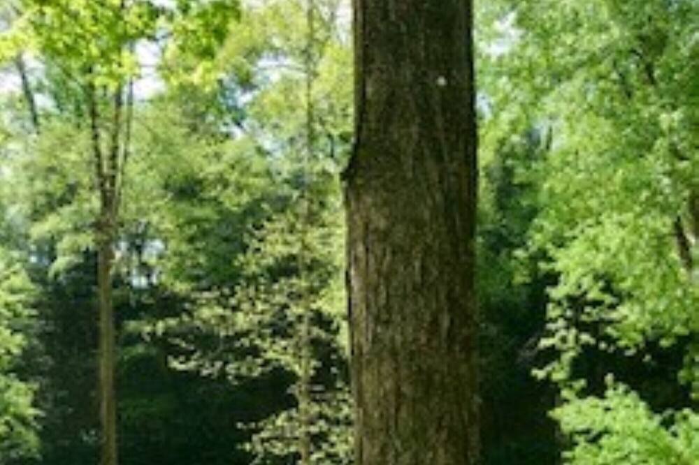 Photo of Others in New Castle