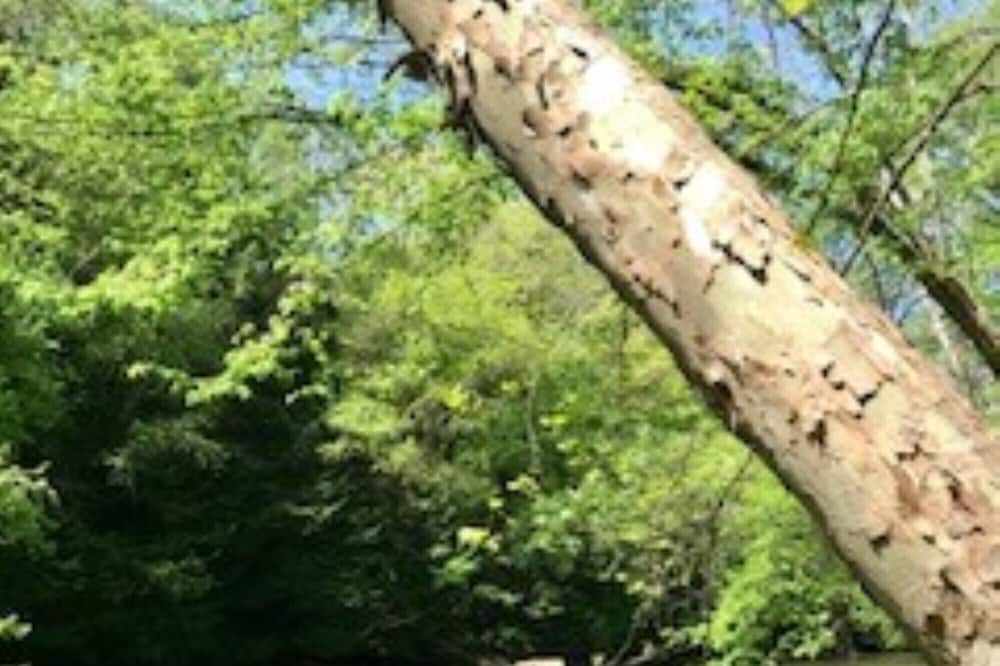 Photo of Others in New Castle