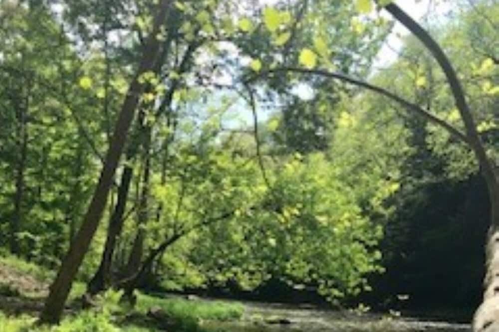 Photo of Others in New Castle