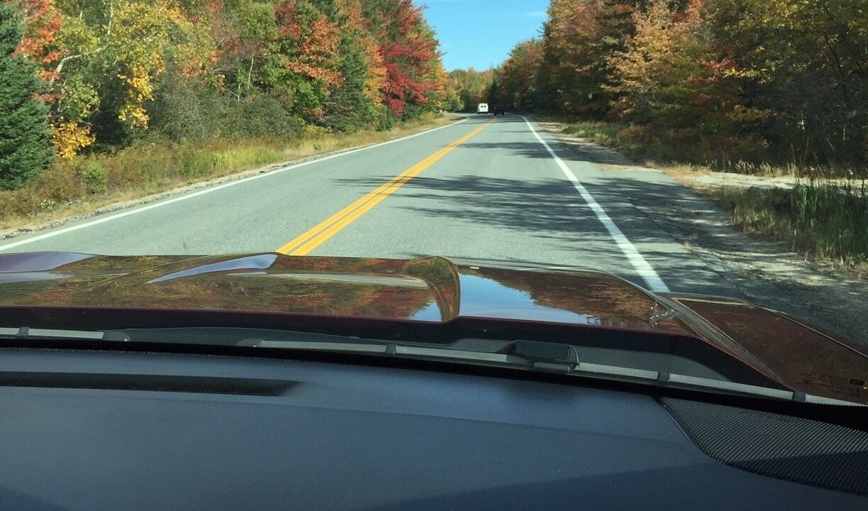 Photo of Outdoor in Harrington