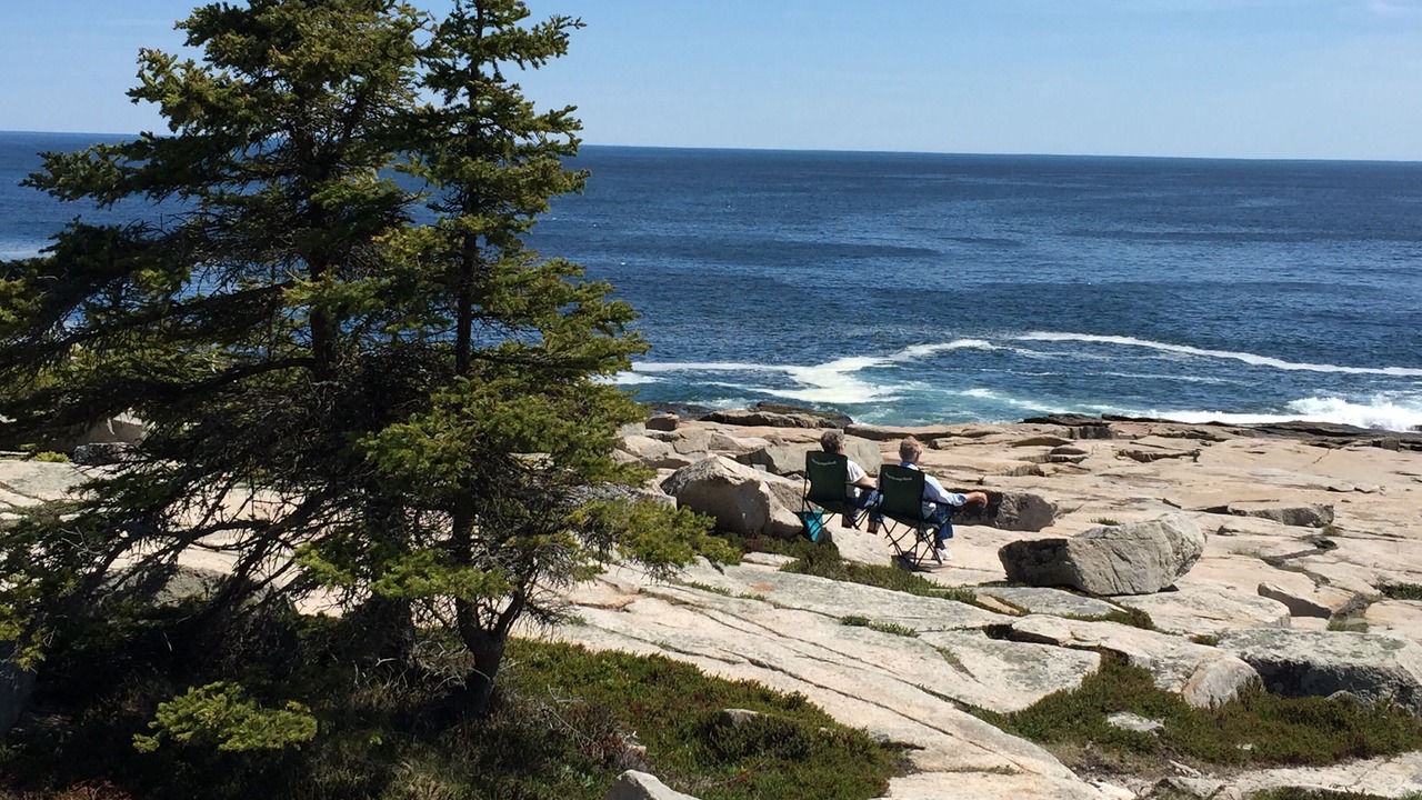 Photo of Others in Harrington