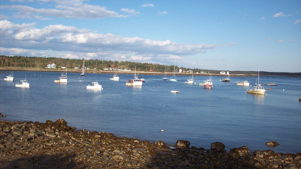 Photo of Others in Harrington