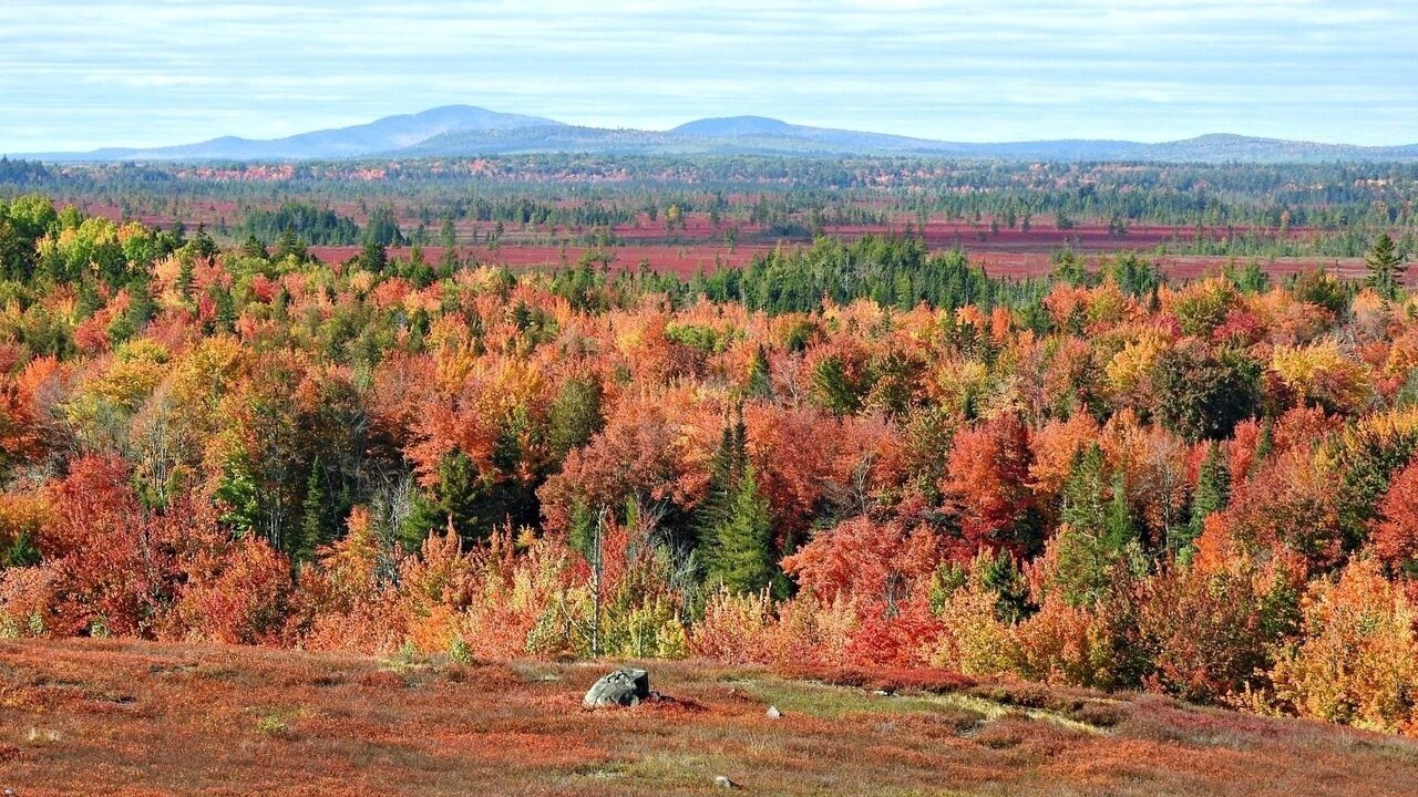 Photo of Outdoor in Harrington