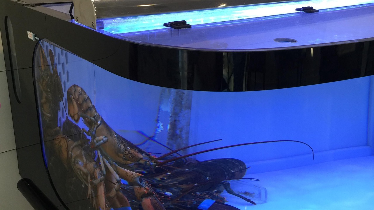 Photo of Others in Harrington