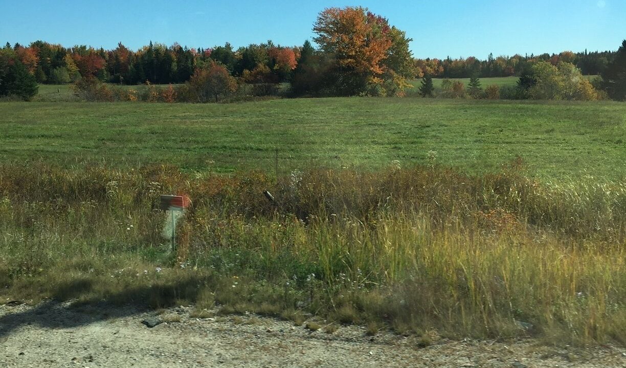 Photo of Outdoor in Harrington