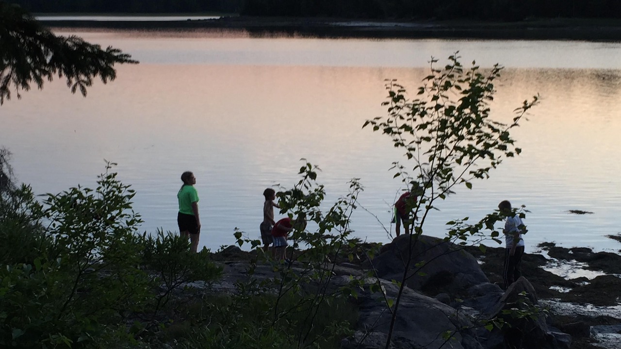 Photo of Others in Harrington