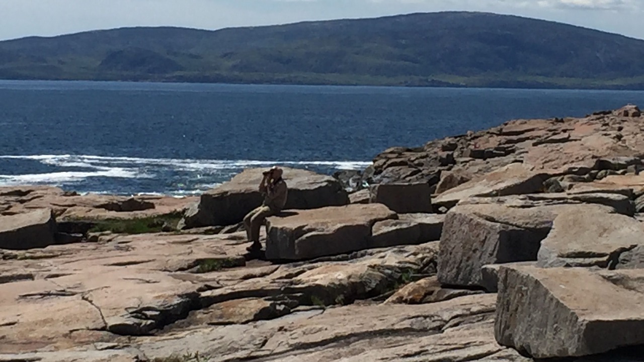 Photo of Others in Harrington