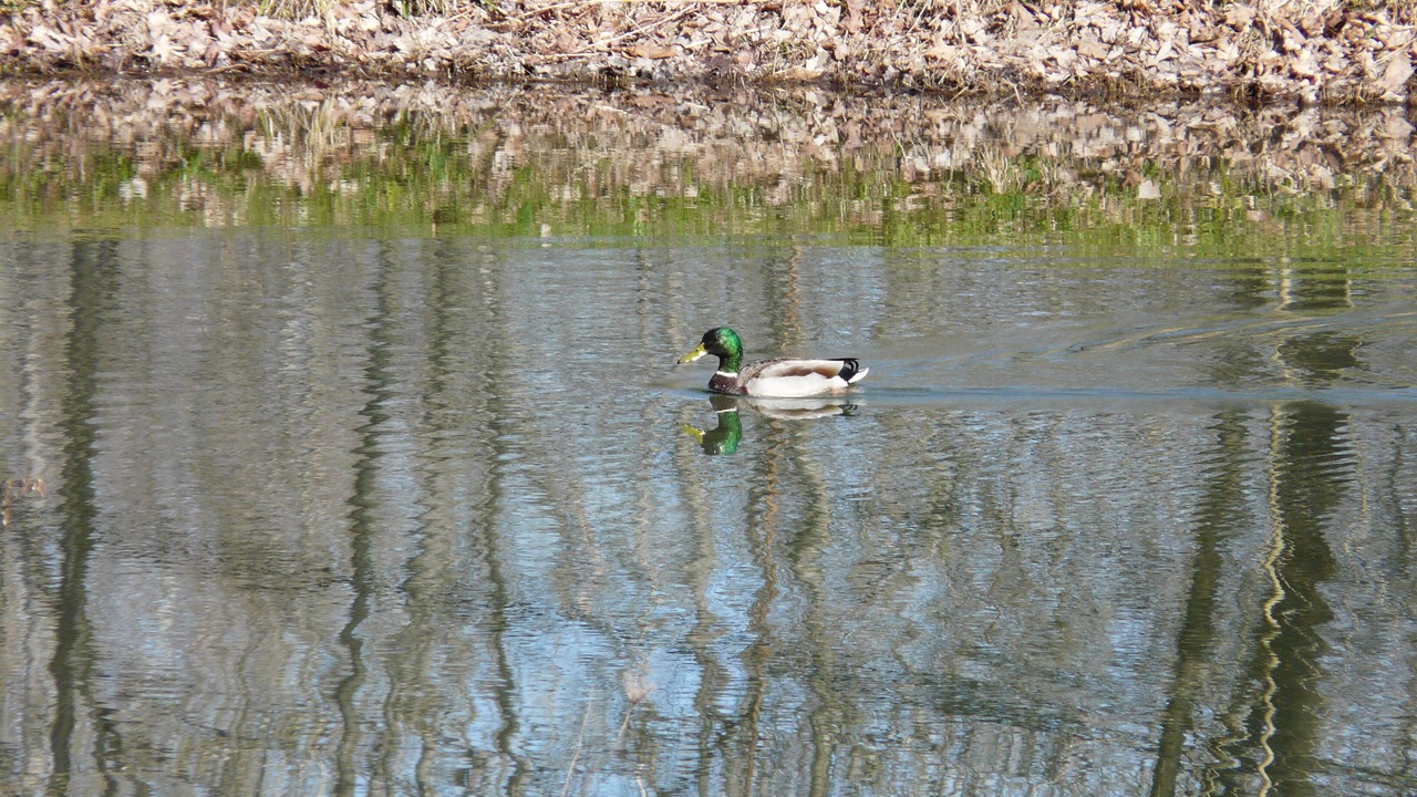 Photo of Others in Salamanca