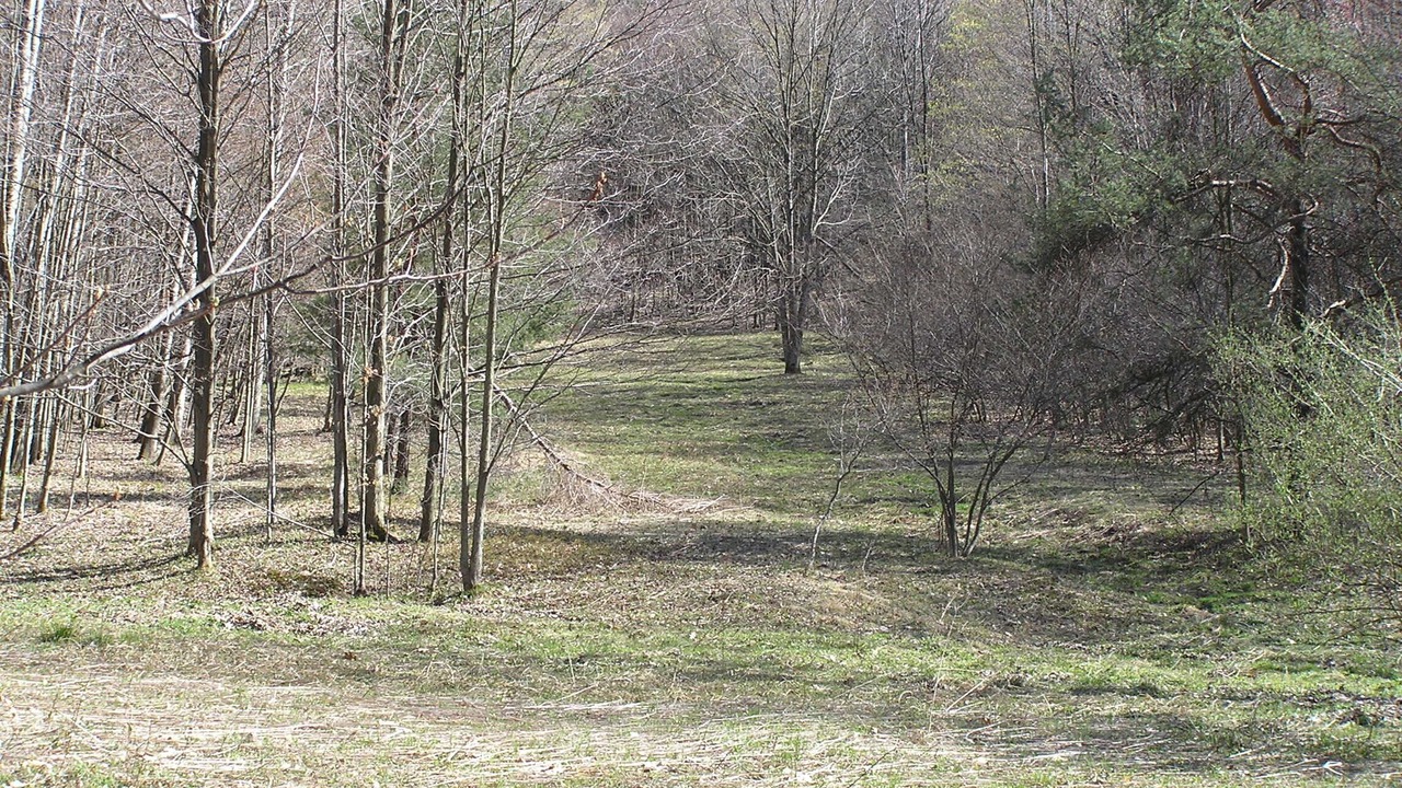 Photo of Outdoor in Salamanca