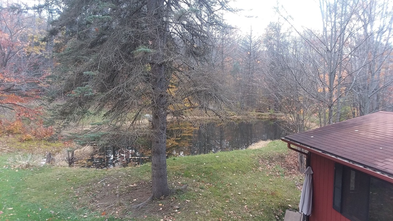 Photo of Outdoor in Salamanca