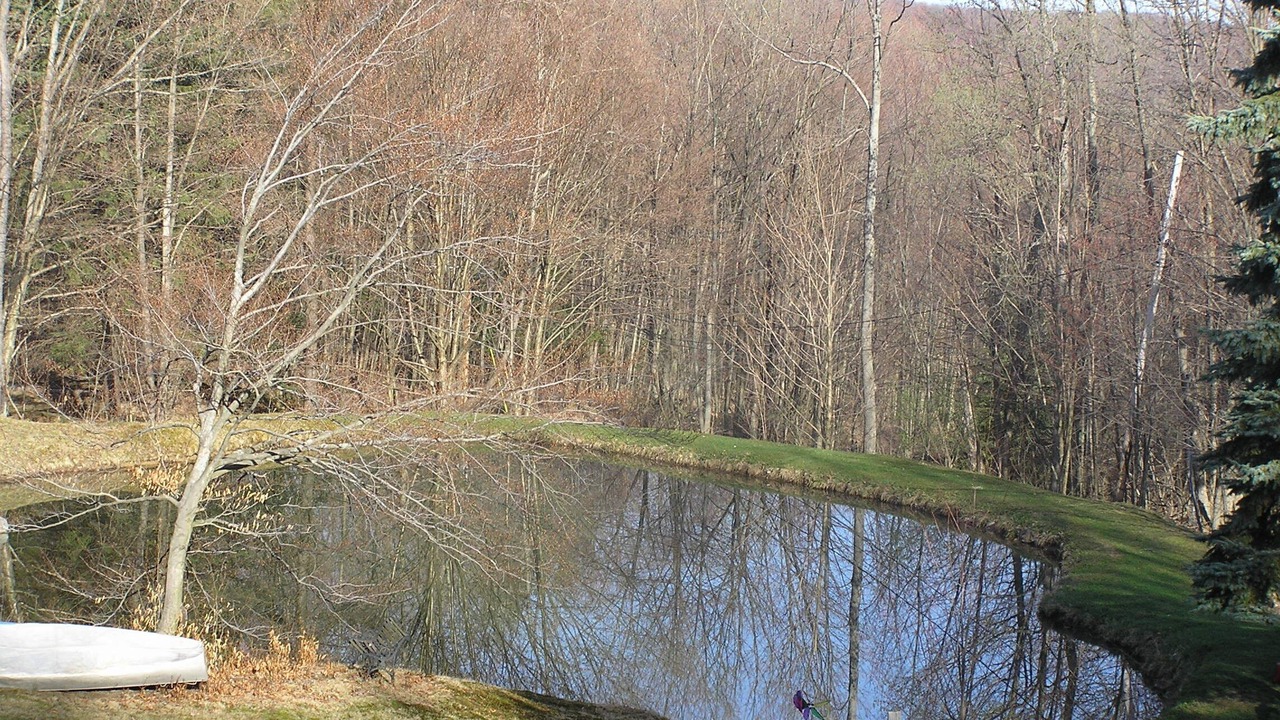 Photo of Outdoor in Salamanca