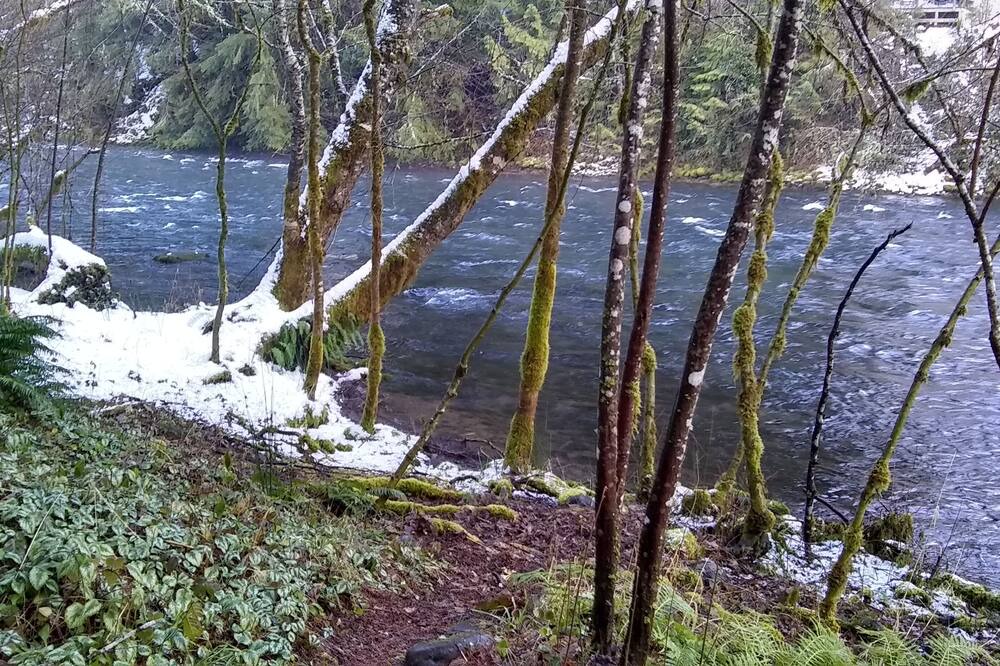 Photo of Others in McKenzie Bridge