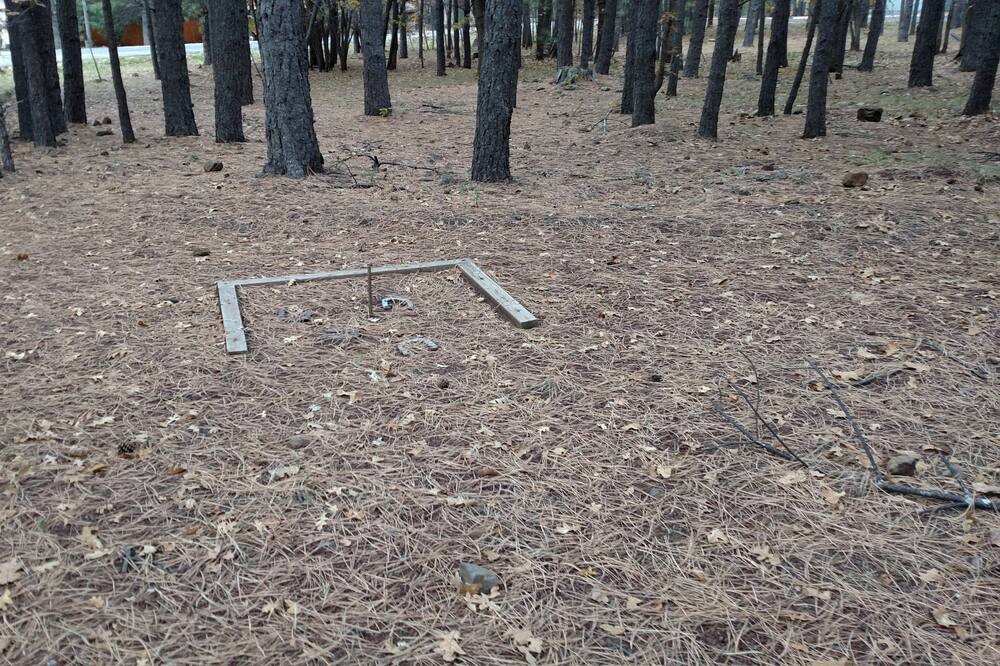 Photo of Others in Pinetop