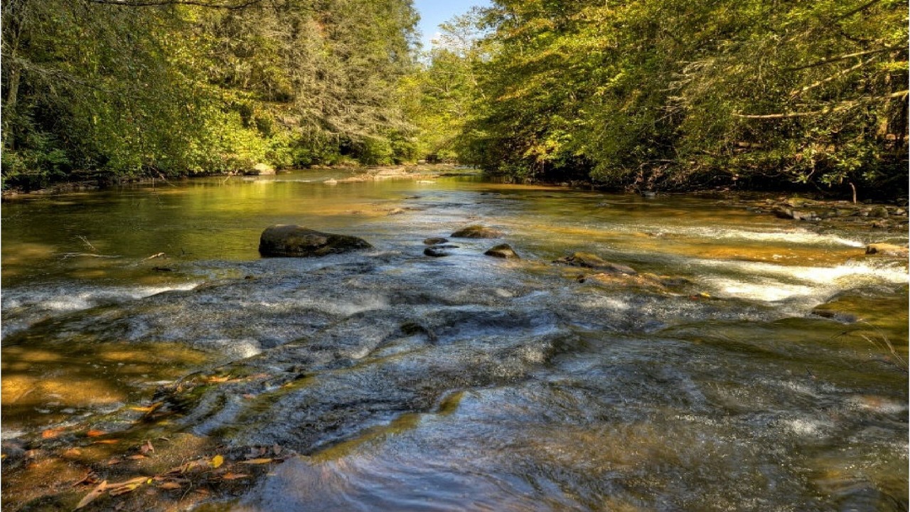 Photo of Outdoor in McCaysville