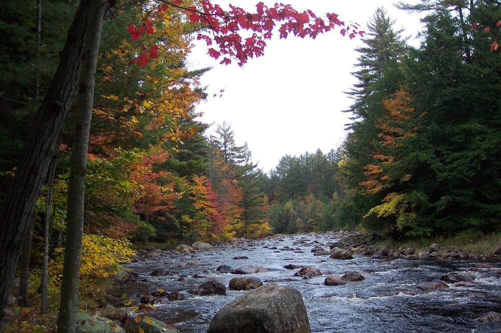 Photo of Others in Glenfield