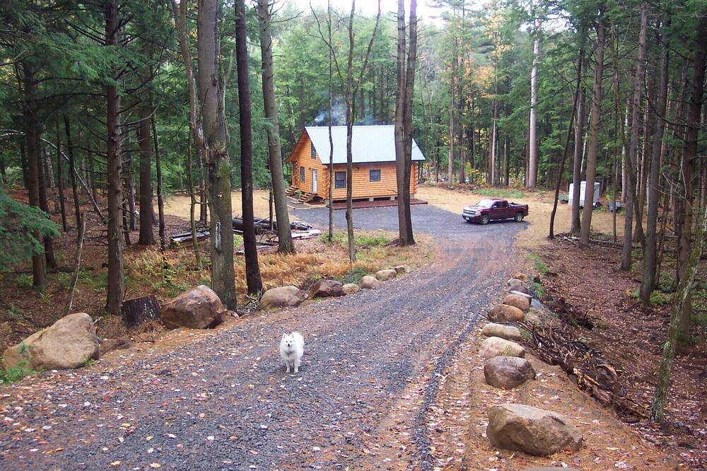 Photo of Others in Glenfield