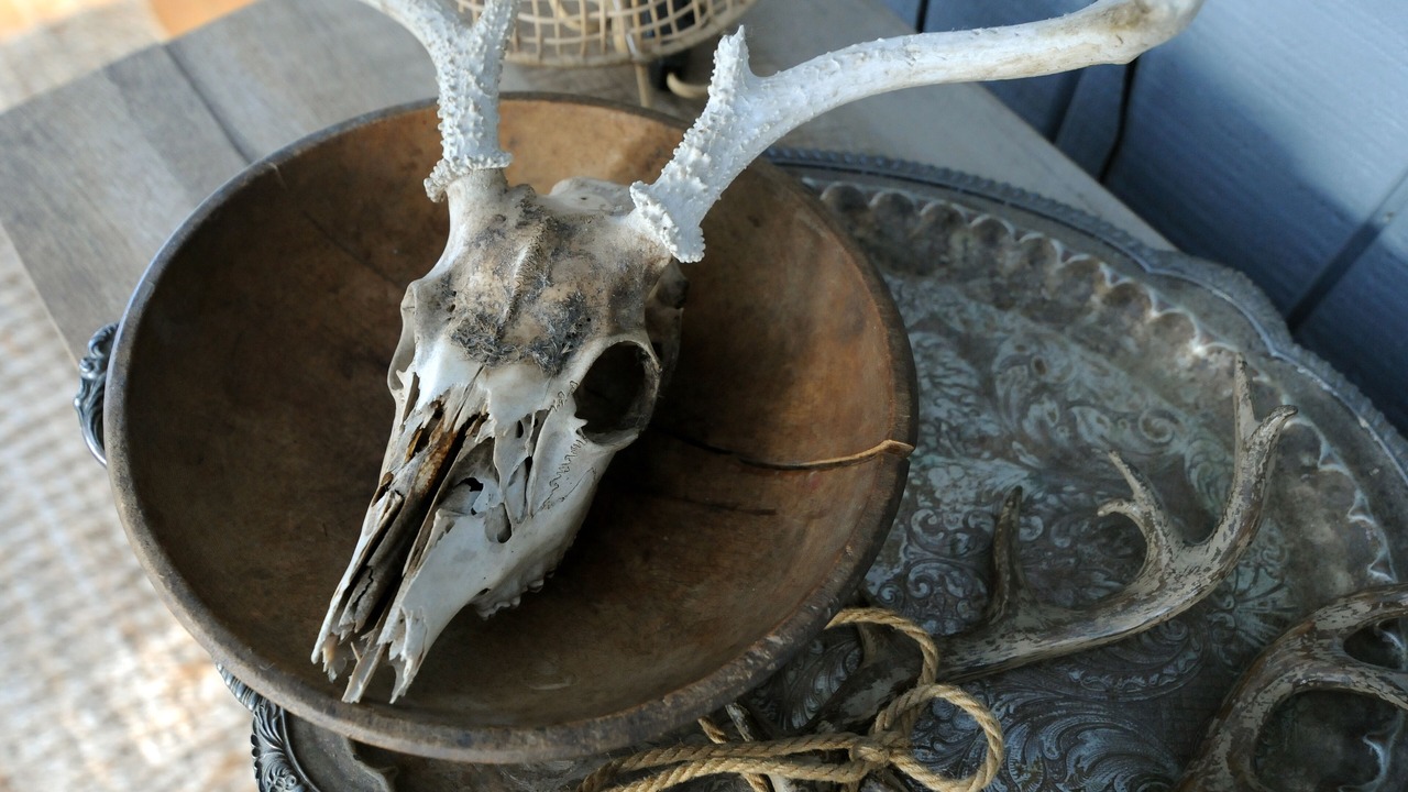 Photo of Others in Pocono Summit