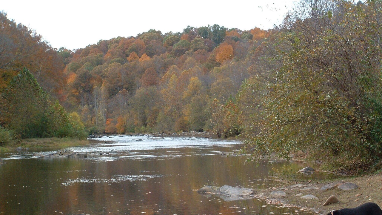 Photo of Others in Arrington