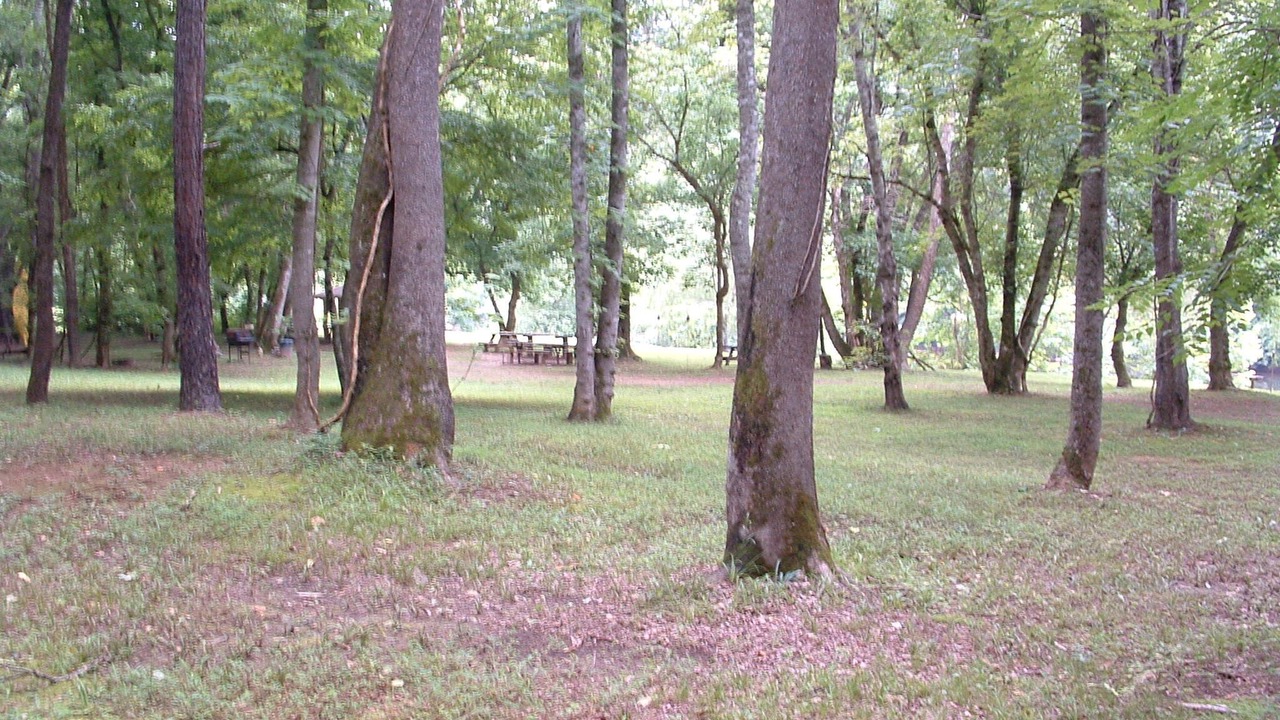 Photo of Outdoor in Arrington