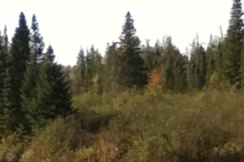 Photo of Outdoor in Oquossoc