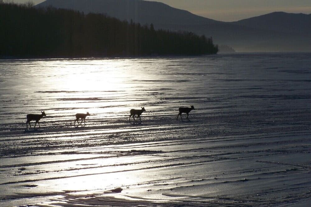 Photo of Outdoor in Oquossoc