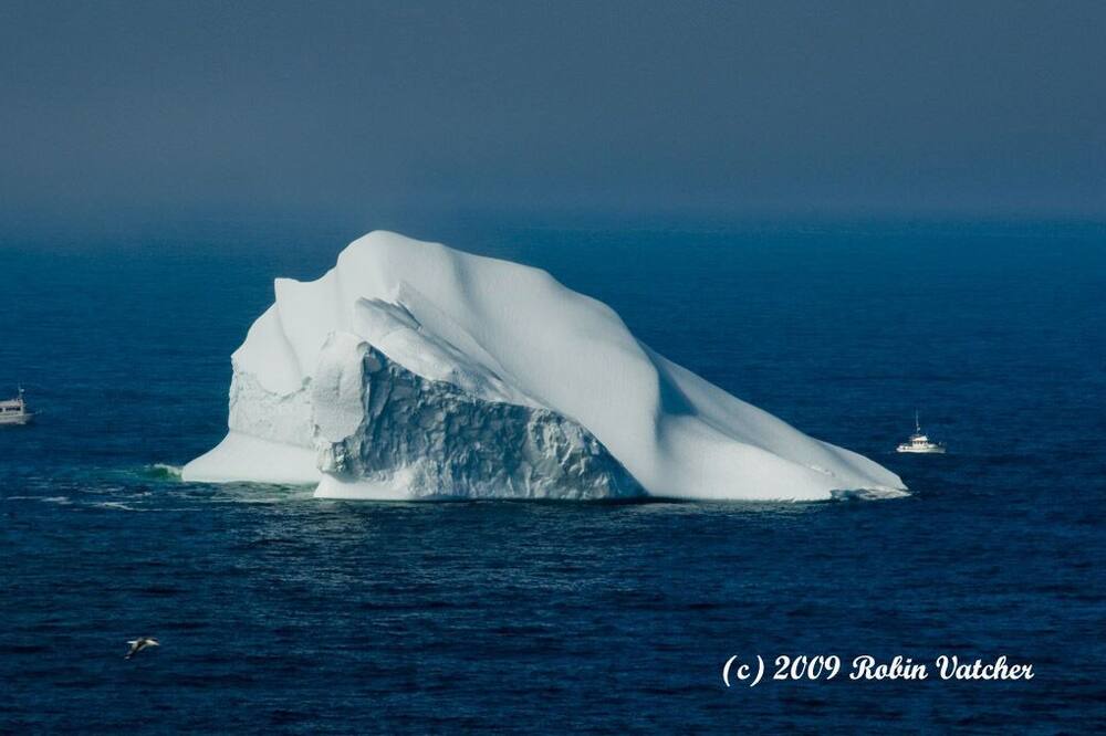 Photo of Others in Twillingate