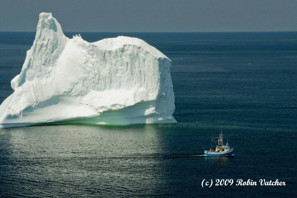 Photo of Others in Twillingate