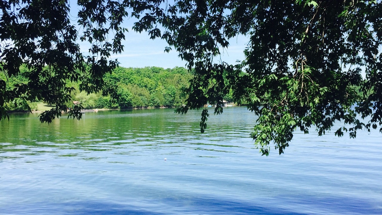 Photo of Outdoor in Rideau Lakes