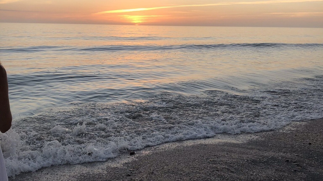 Photo of Others in Charlotte Harbor