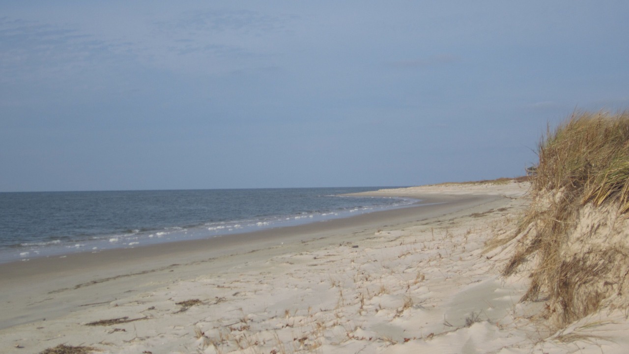 Photo of Others in Bay Ridge