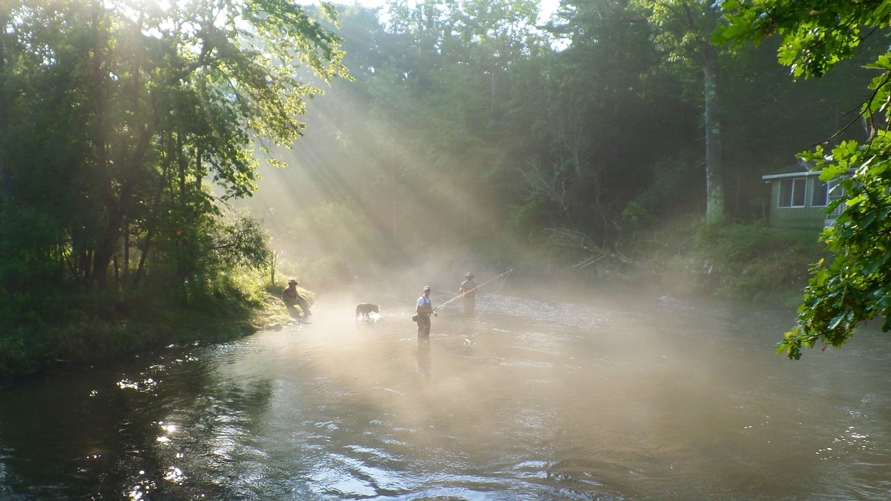 Photo of Outdoor in Baldwin