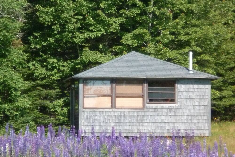 Photo of Others in Hancock Point