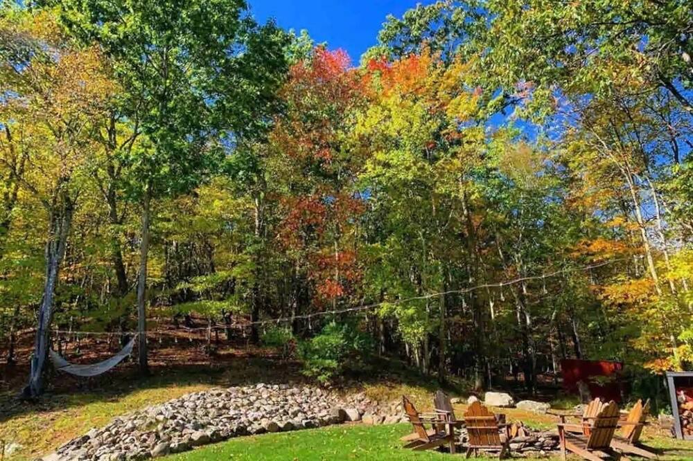 Photo of Outdoor in Copake Lake
