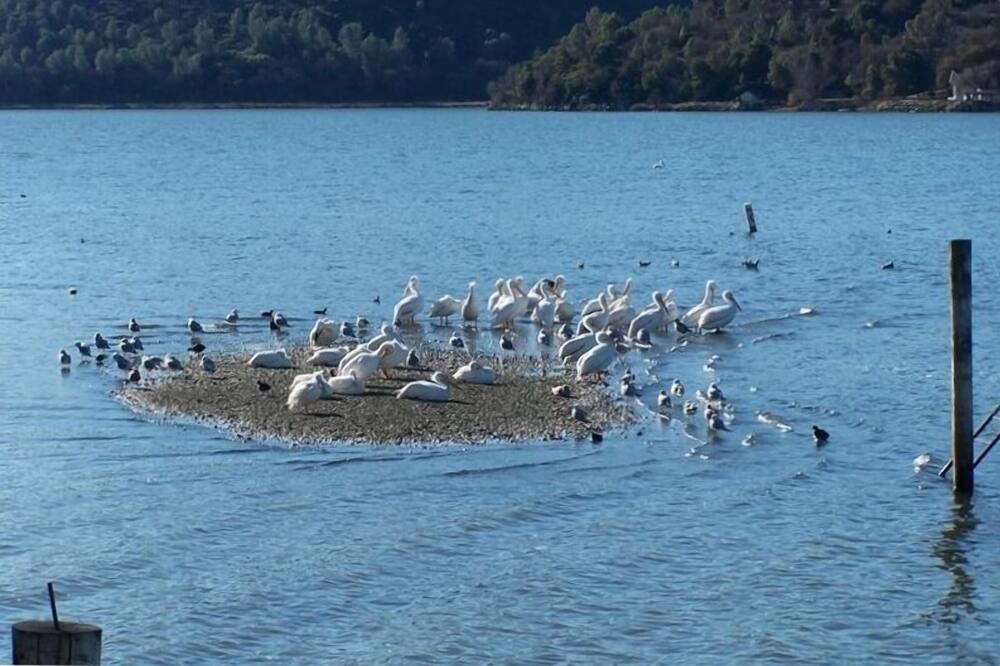 Photo of Others in Clearlake