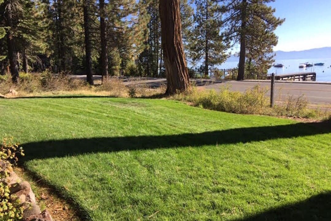 Photo of Outdoor in Tahoe Pines
