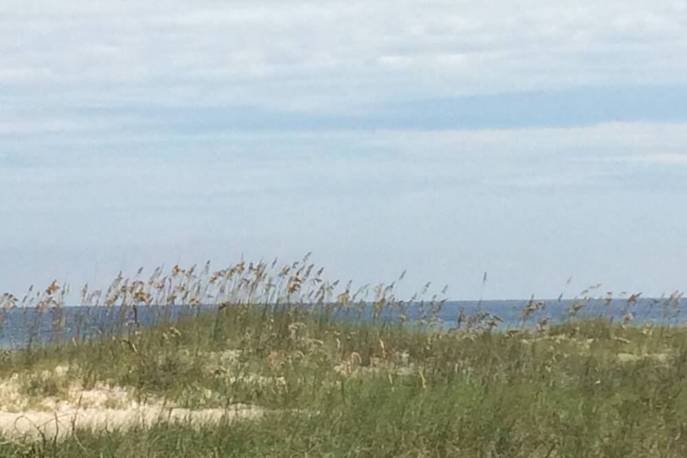 Photo of Others in Fernandina Beach