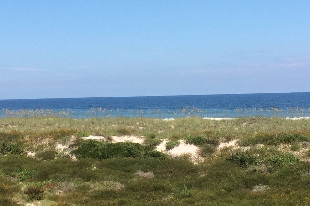 Photo of Others in Fernandina Beach